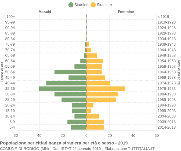 Grafico cittadini stranieri - Rodigo 2019