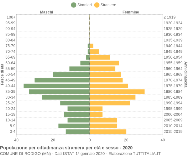 Grafico cittadini stranieri - Rodigo 2020