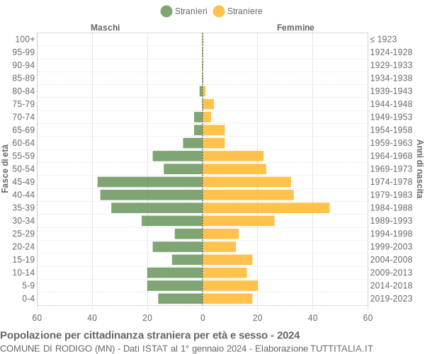 Grafico cittadini stranieri - Rodigo 2024