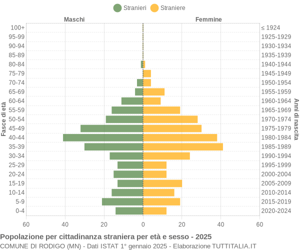 Grafico cittadini stranieri - Rodigo 2025