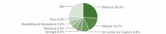 Grafico cittadinanza stranieri - Viganò 2012