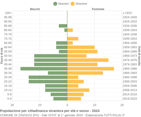 Grafico cittadini stranieri - Zinasco 2024