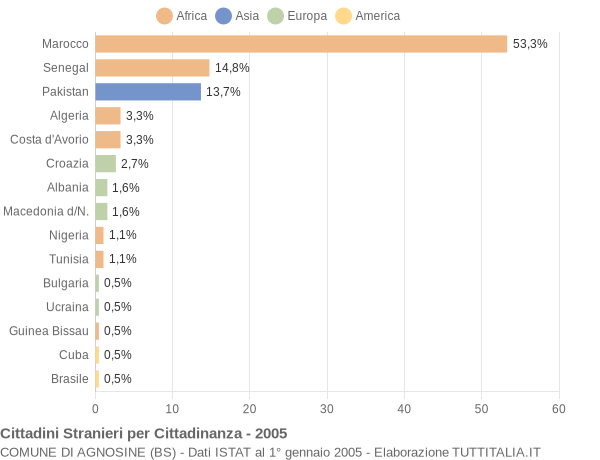 Grafico cittadinanza stranieri - Agnosine 2005