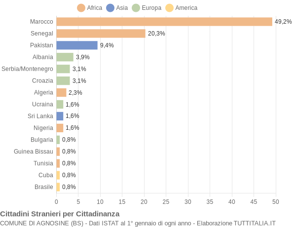 Grafico cittadinanza stranieri - Agnosine 2007