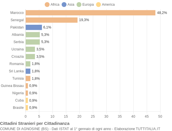 Grafico cittadinanza stranieri - Agnosine 2009