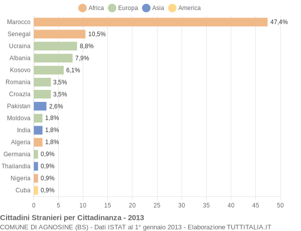 Grafico cittadinanza stranieri - Agnosine 2013