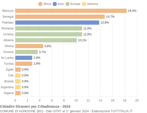 Grafico cittadinanza stranieri - Agnosine 2024