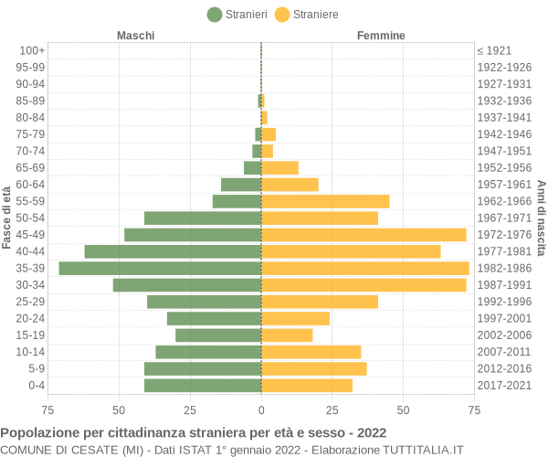 Grafico cittadini stranieri - Cesate 2022