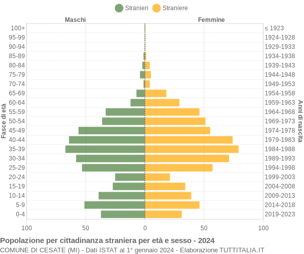 Grafico cittadini stranieri - Cesate 2024