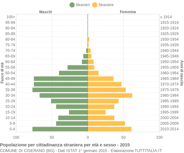 Grafico cittadini stranieri - Ciserano 2015