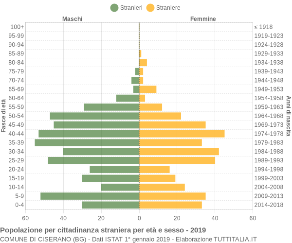 Grafico cittadini stranieri - Ciserano 2019