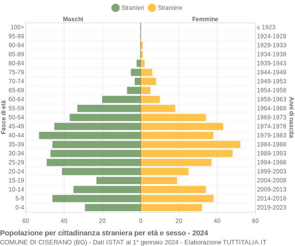 Grafico cittadini stranieri - Ciserano 2024