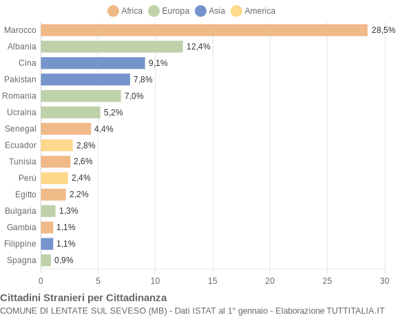 Grafico cittadinanza stranieri - Lentate sul Seveso 2005