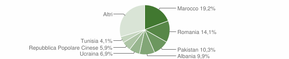 Grafico cittadinanza stranieri - Lentate sul Seveso 2013