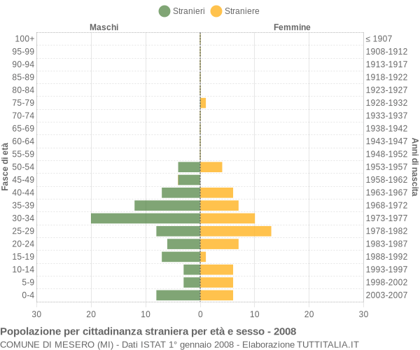 Grafico cittadini stranieri - Mesero 2008