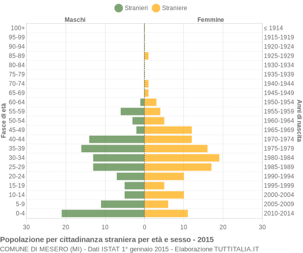 Grafico cittadini stranieri - Mesero 2015