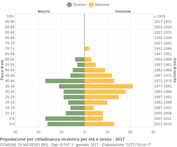 Grafico cittadini stranieri - Mesero 2017