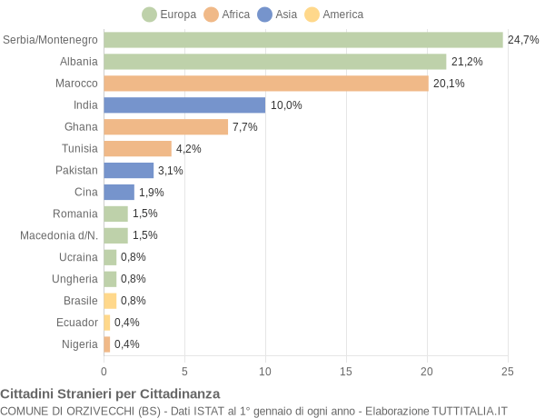 Grafico cittadinanza stranieri - Orzivecchi 2006