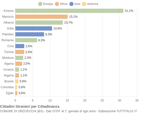 Grafico cittadinanza stranieri - Orzivecchi 2013