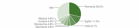 Grafico cittadinanza stranieri - Sorico 2011