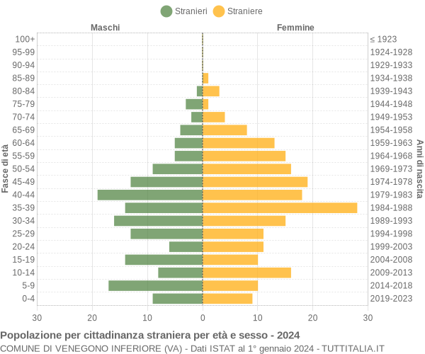 Grafico cittadini stranieri - Venegono Inferiore 2024