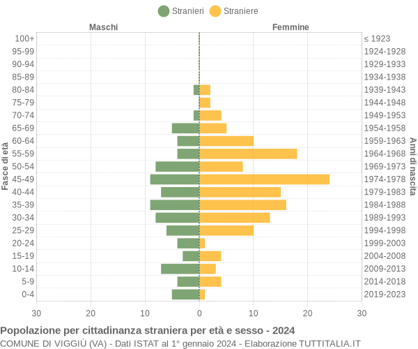 Grafico cittadini stranieri - Viggiù 2024