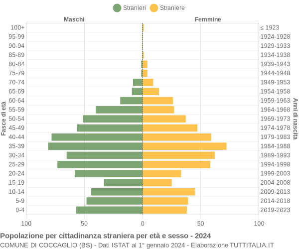 Grafico cittadini stranieri - Coccaglio 2024