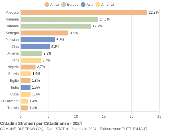 Grafico cittadinanza stranieri - Ferno 2024