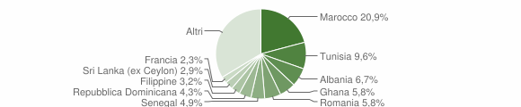 Grafico cittadinanza stranieri - Guanzate 2008
