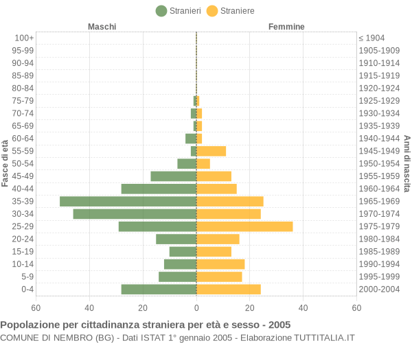 Grafico cittadini stranieri - Nembro 2005
