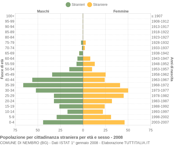 Grafico cittadini stranieri - Nembro 2008