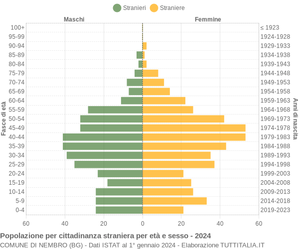 Grafico cittadini stranieri - Nembro 2024