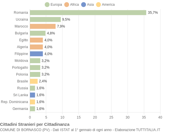 Grafico cittadinanza stranieri - Bornasco 2020