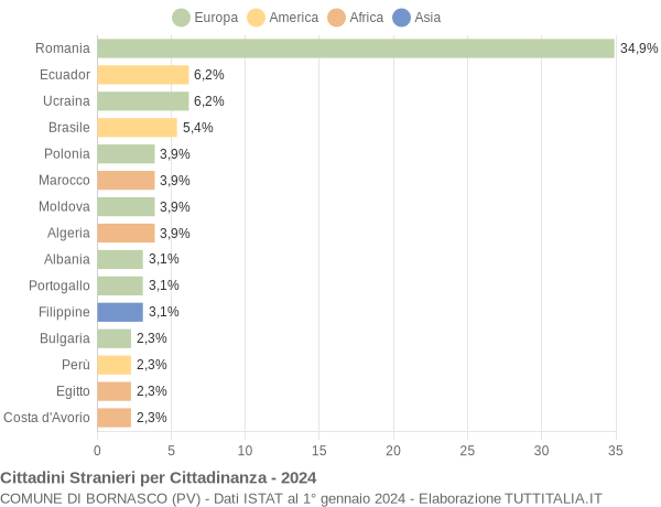 Grafico cittadinanza stranieri - Bornasco 2024