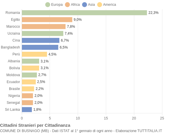 Grafico cittadinanza stranieri - Busnago 2022