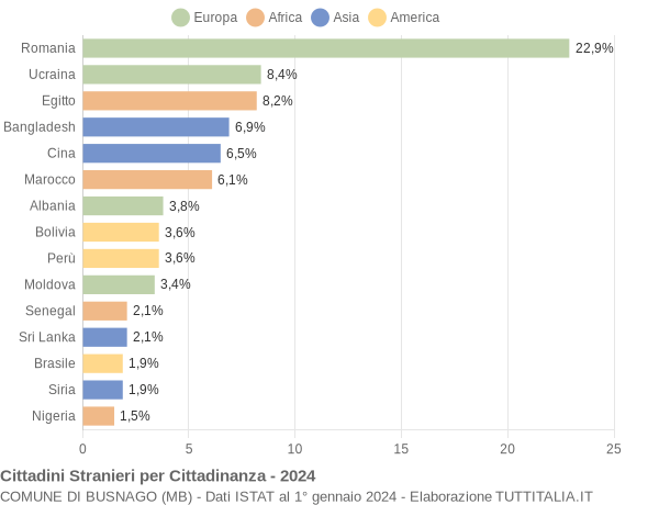 Grafico cittadinanza stranieri - Busnago 2024