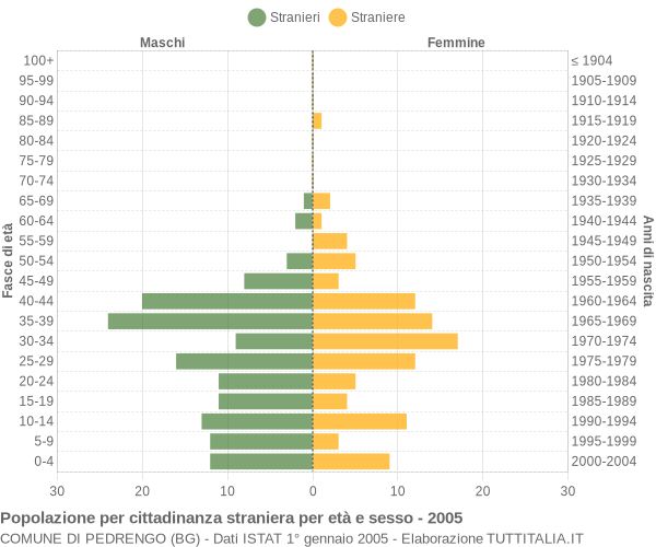 Grafico cittadini stranieri - Pedrengo 2005
