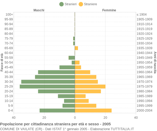 Grafico cittadini stranieri - Vailate 2005