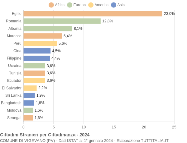 Grafico cittadinanza stranieri - Vigevano 2024