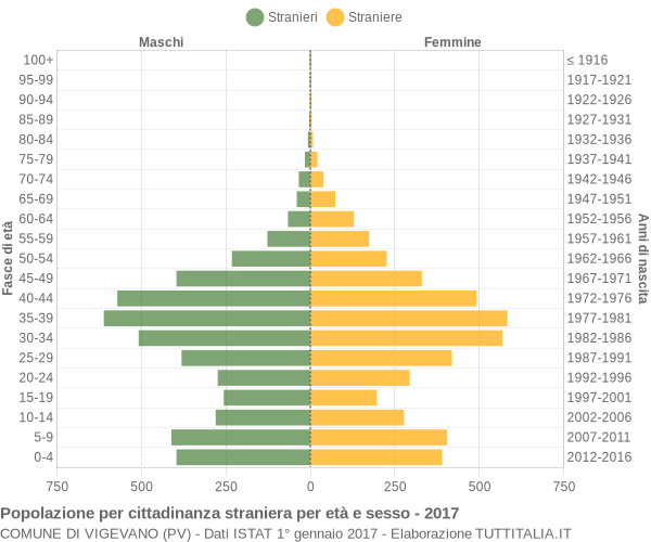 Grafico cittadini stranieri - Vigevano 2017