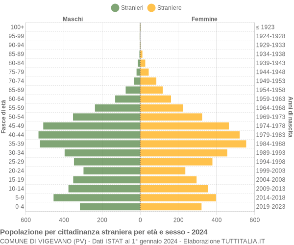 Grafico cittadini stranieri - Vigevano 2024