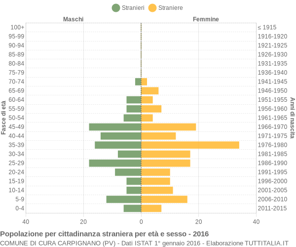 Grafico cittadini stranieri - Cura Carpignano 2016