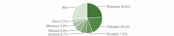 Grafico cittadinanza stranieri - Desio 2012