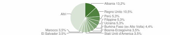 Grafico cittadinanza stranieri - Luvinate 2011