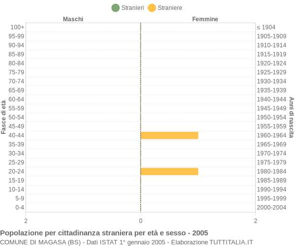 Grafico cittadini stranieri - Magasa 2005
