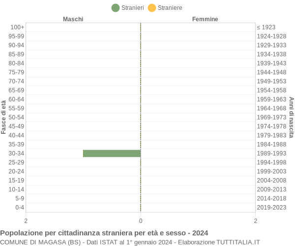 Grafico cittadini stranieri - Magasa 2024