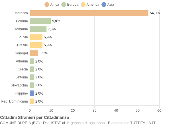 Grafico cittadinanza stranieri - Peia 2008