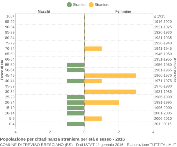 Grafico cittadini stranieri - Treviso Bresciano 2016