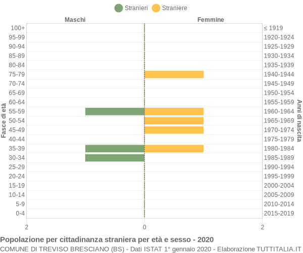 Grafico cittadini stranieri - Treviso Bresciano 2020