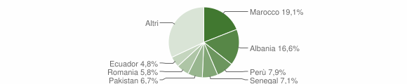 Grafico cittadinanza stranieri - Vaprio d'Adda 2007